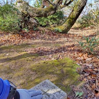 小佐波御前山山頂の三角点タッチ