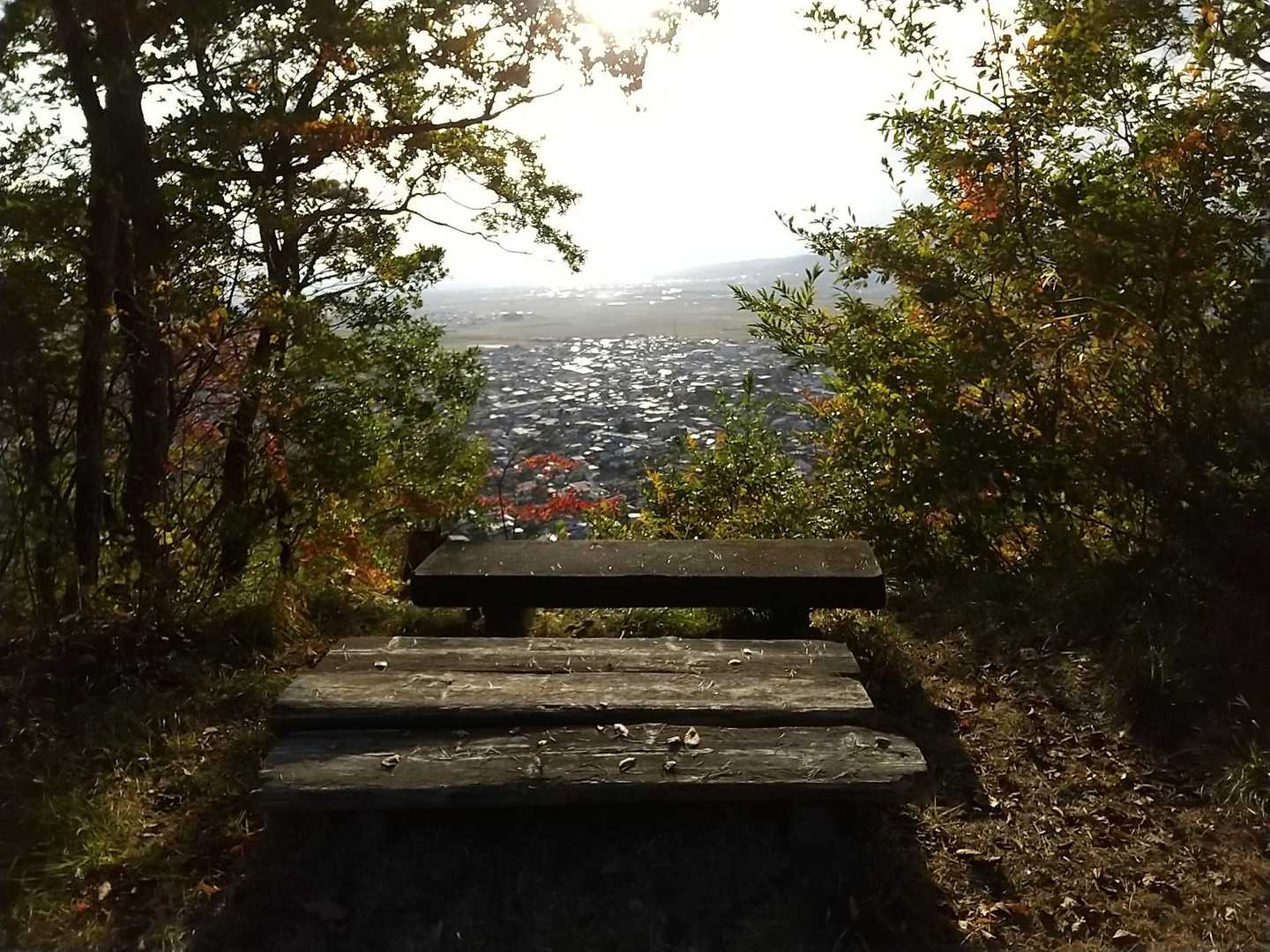 からの眺望。
