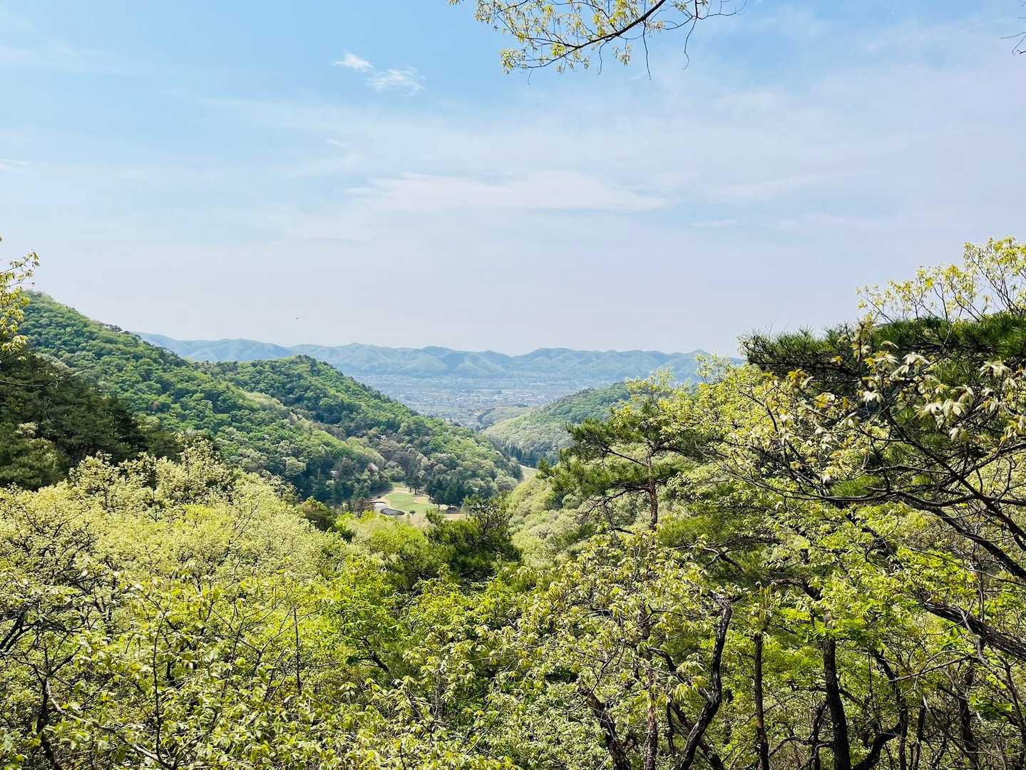 城山-ヤシオ山-姥穴山-白葉峠-高萩山 縦走コースの写真