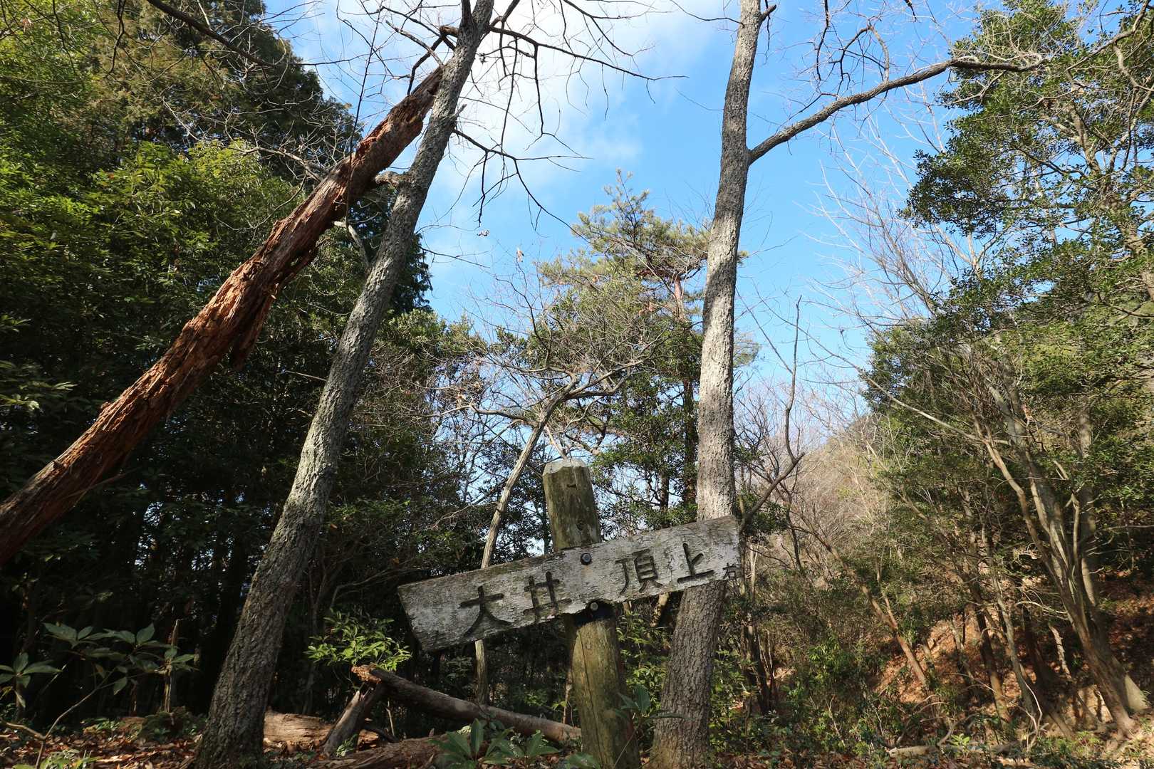 左側は、大井
右側へ進みます🎵