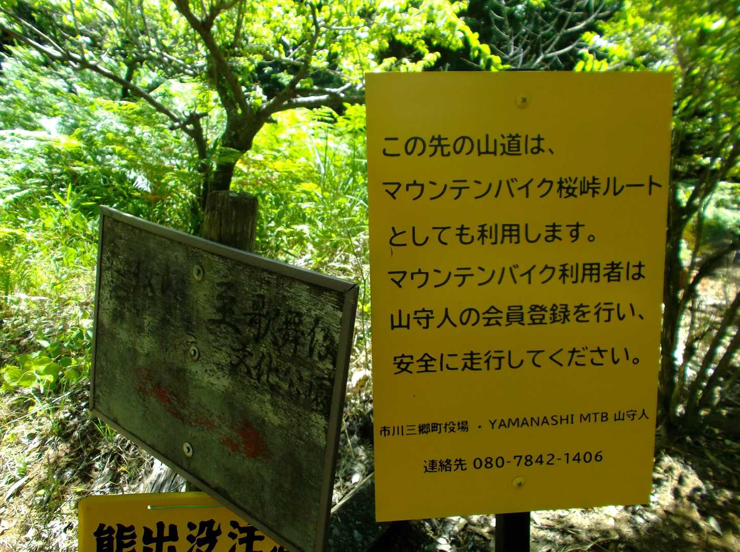 注意と思ったけど誰にも会わなかった。虫が凄かったので虫避けネットを被りました。