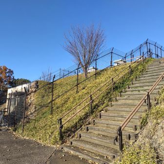 ここまでケッタ（自転車）で登ってこられるようです🚵‍♂️