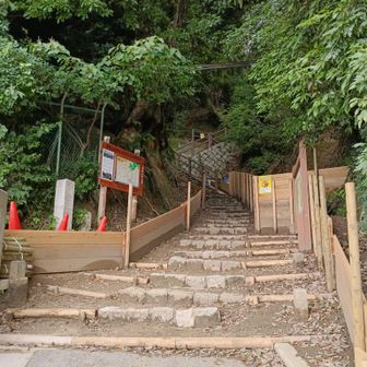 いつもの上野道登山口にゃ。