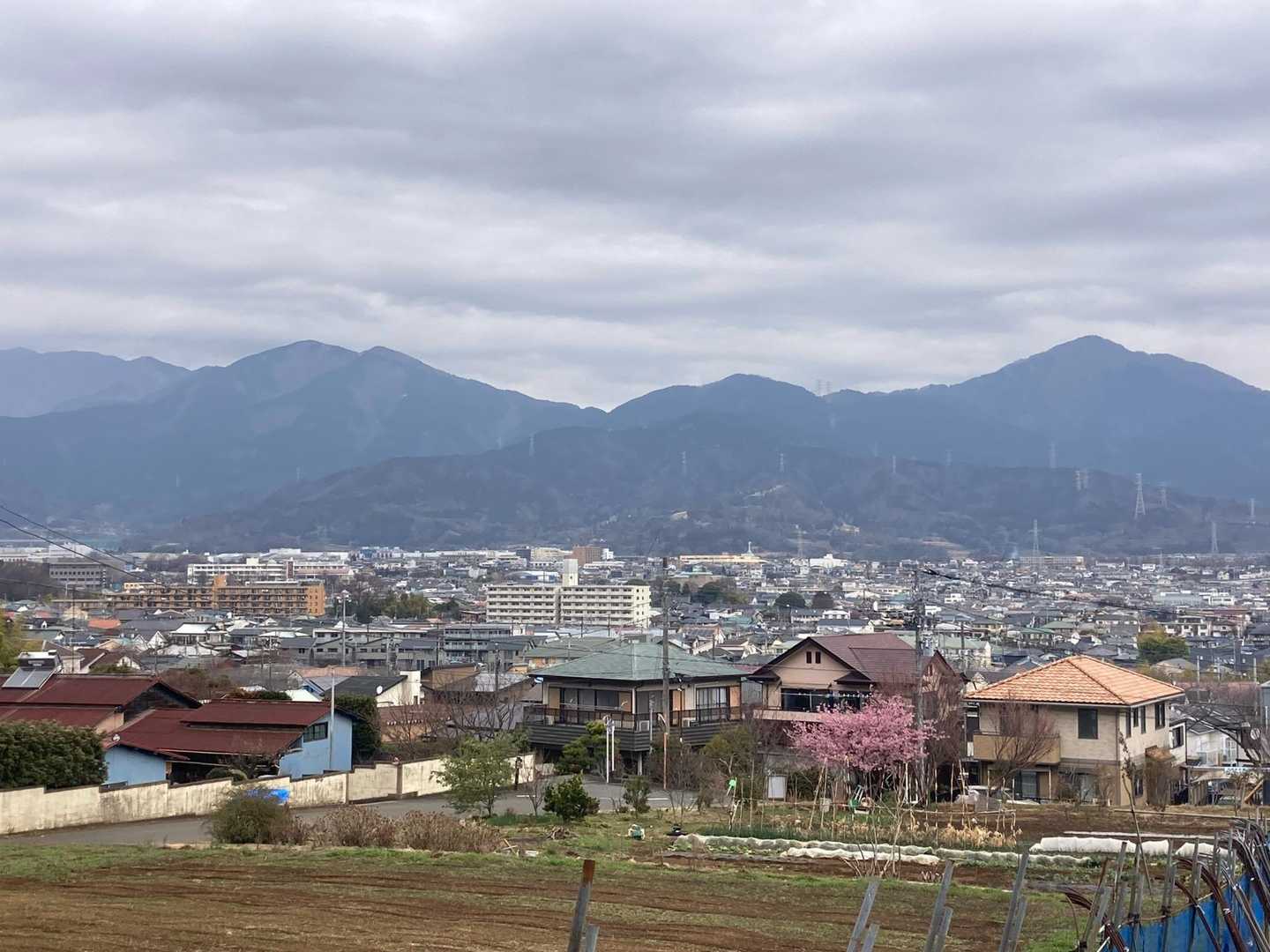 丹沢の山々が良く見えます