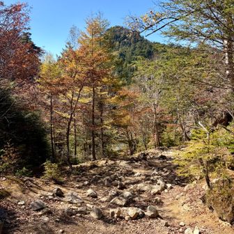 鷹見岩⛰️
帰りに登る計画だったけど見るだけにしました💦