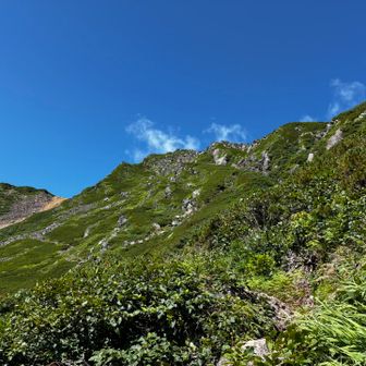 下山ルートは三の池の近くを通るルート
次は濁河から継子岳まで行ってみたい