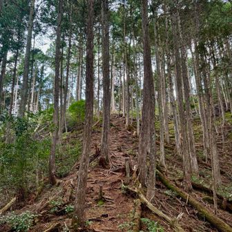 今日一急だが距離は短い