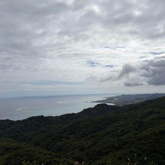 珊瑚の海が美しい