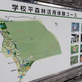 昔の学校跡のようですね👀