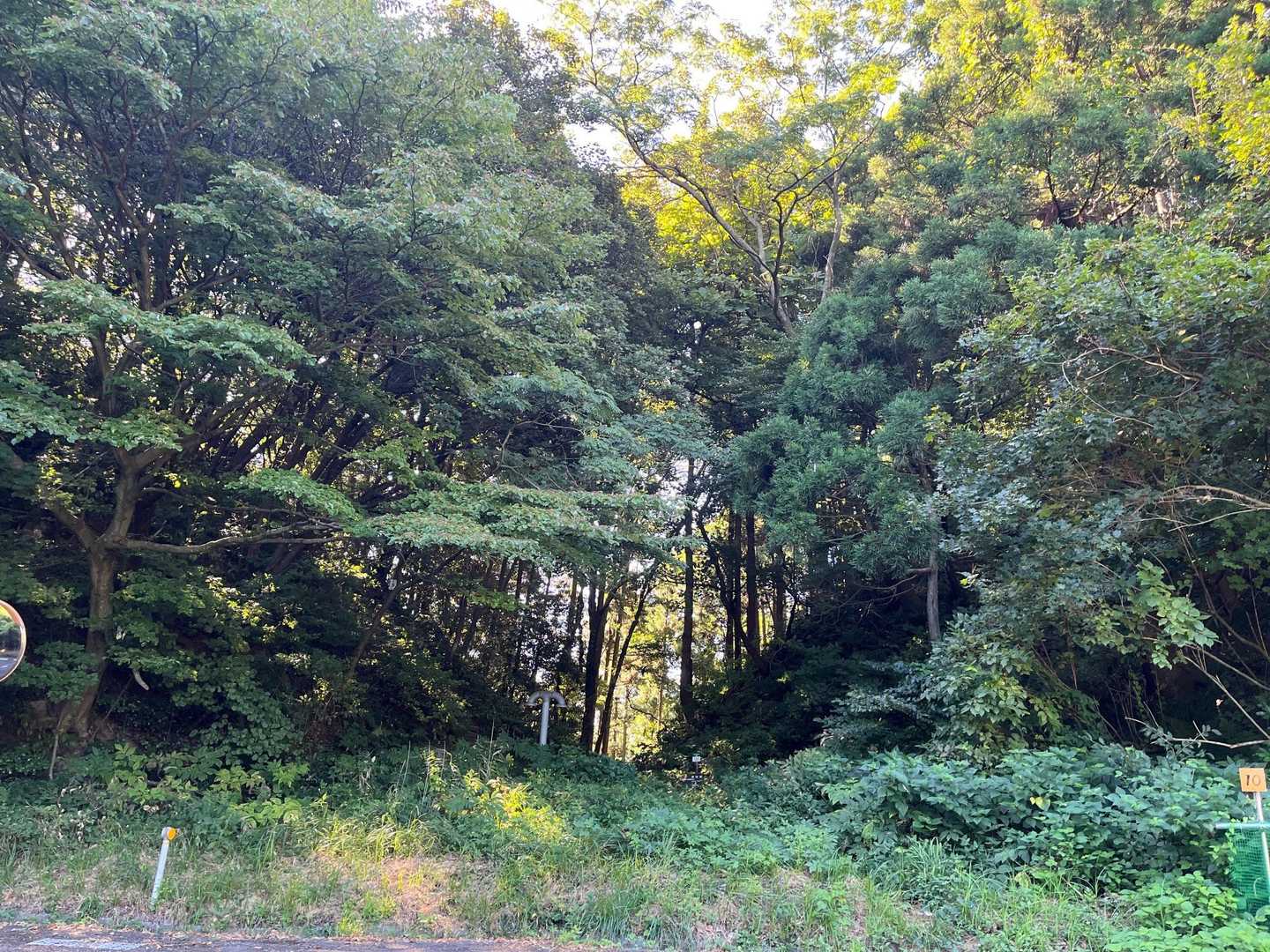石瀬峠-多宝山 往復コースの写真