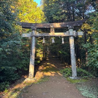 立派な鳥居⛩️