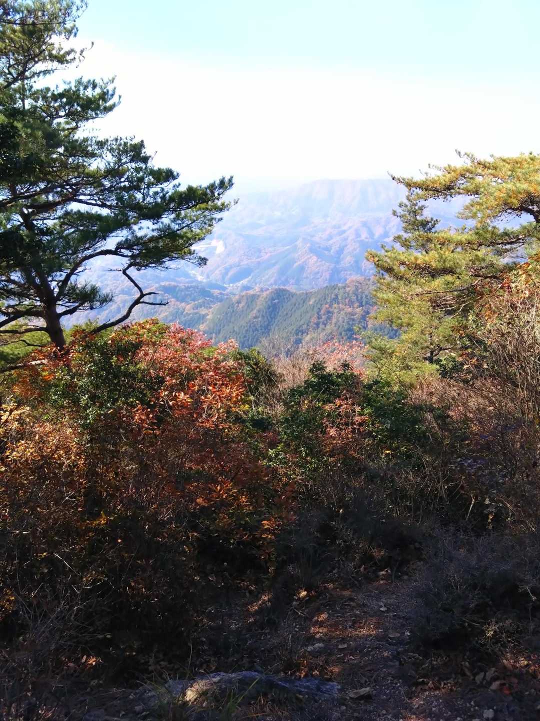 矢筈山・女体山登山口-女体山 (長尾）-矢筈山登山口-矢筈 往復コースの写真