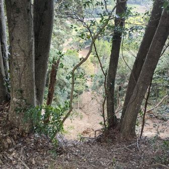 ここも東側の斜面がかなり土砂崩れしています。
人家や農地はなさそうです。