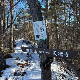 坂田山登頂！明覚山へ