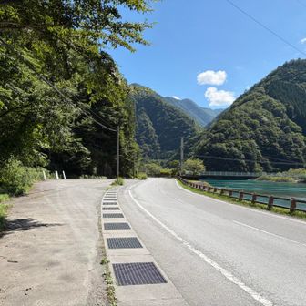 真夏の車道　標高800mまで下ります😇
今回日傘が大活躍🥰