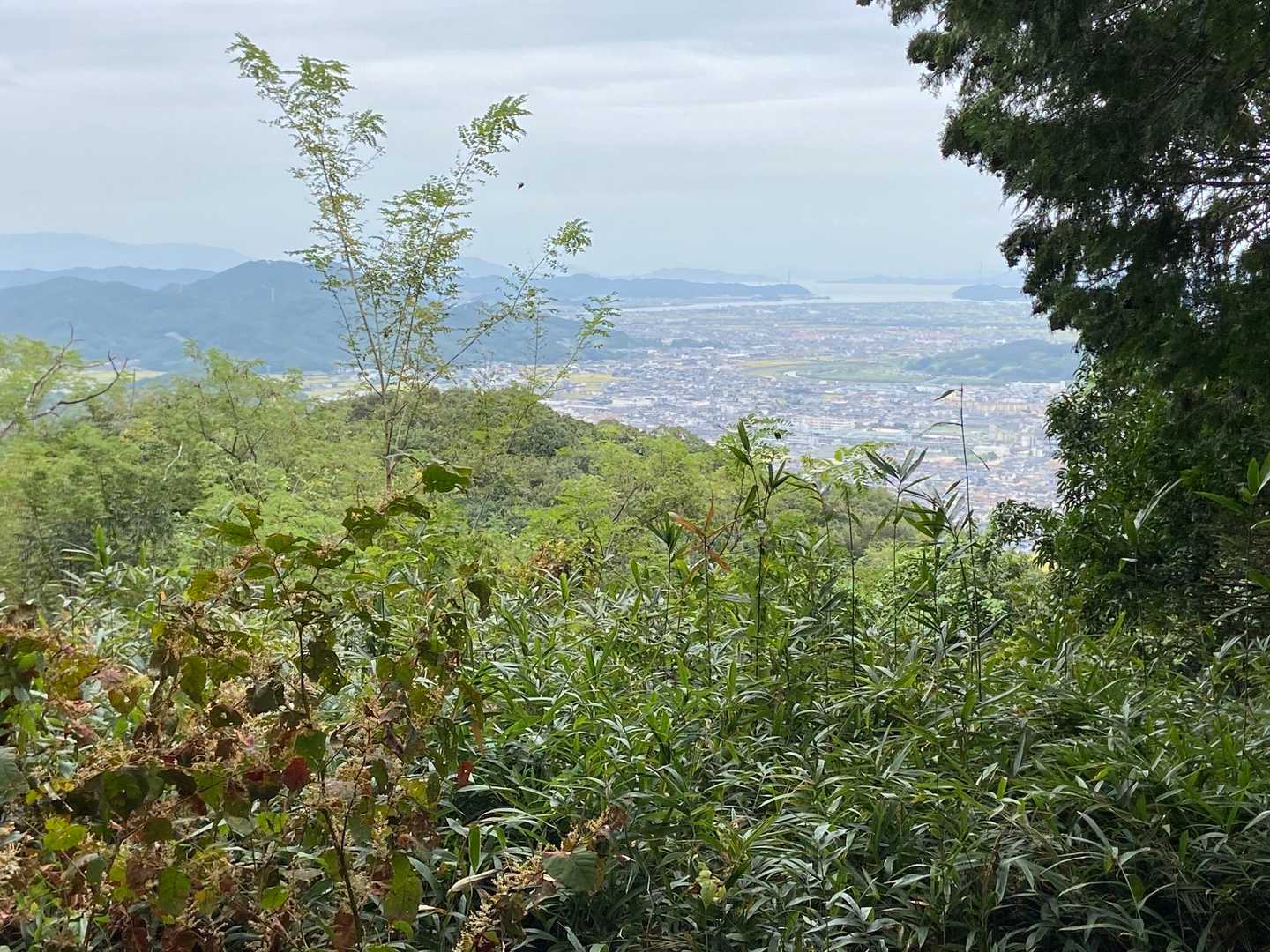 そして山頂手前の展望所
思ったより早目に雨がポツポツ。
小雨だし、そのまま山頂へ。