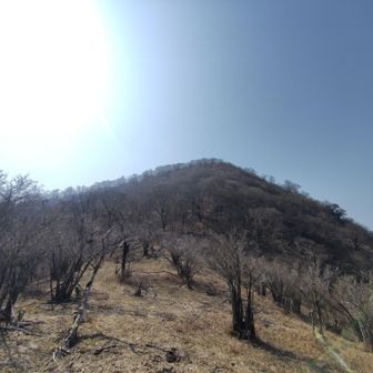 鞍部から神々しい🙏愛鷹山を望む🌈