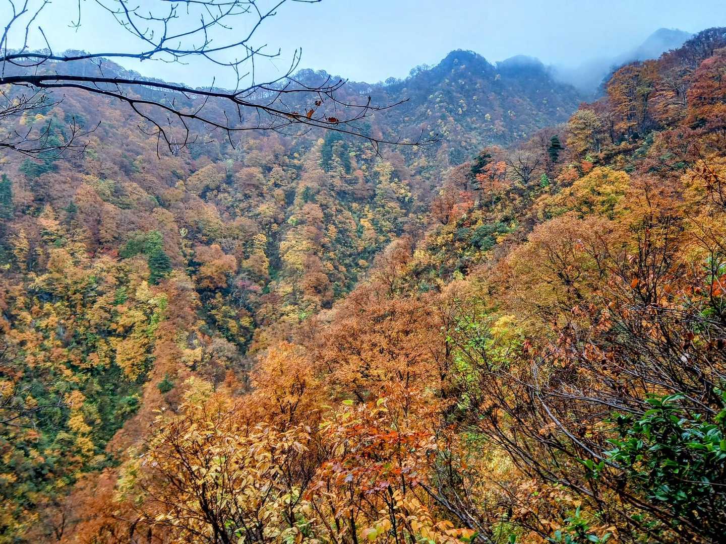 尾根道から左手を眺めるといい感じの紅葉🍁。光補正有り。