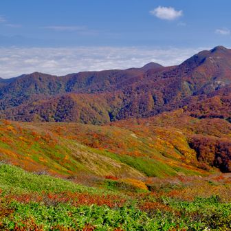 向こう側は紅葉がきれい。来年は周回コースで。
