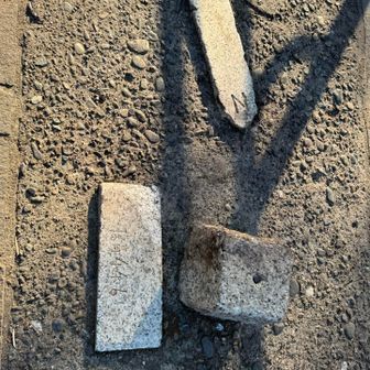 箱根山山頂44.6メートル
山手線内で1番高い山とのこと