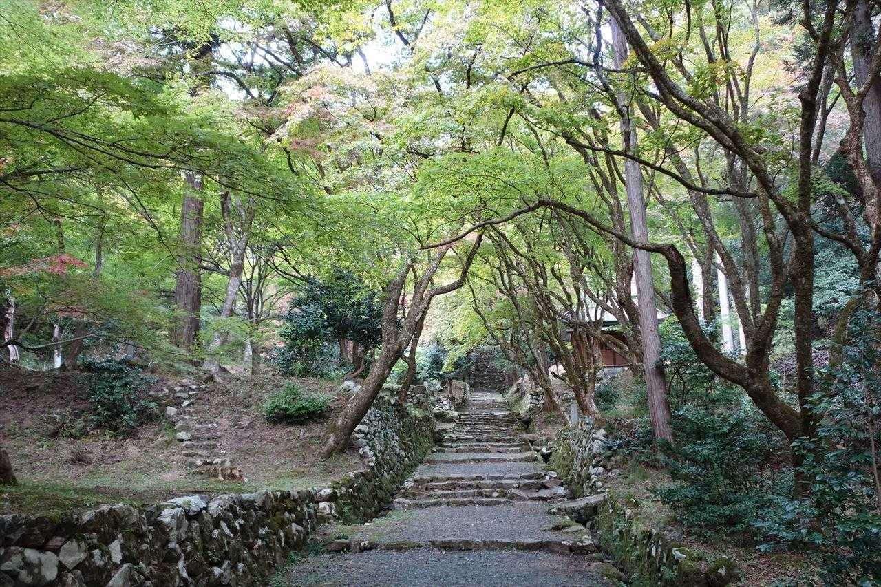 鶏足寺の入口　紅葉はまだこれから
中には入らず駐車場に向かいます

天気も良く紅葉も満喫できて楽しい１日でした