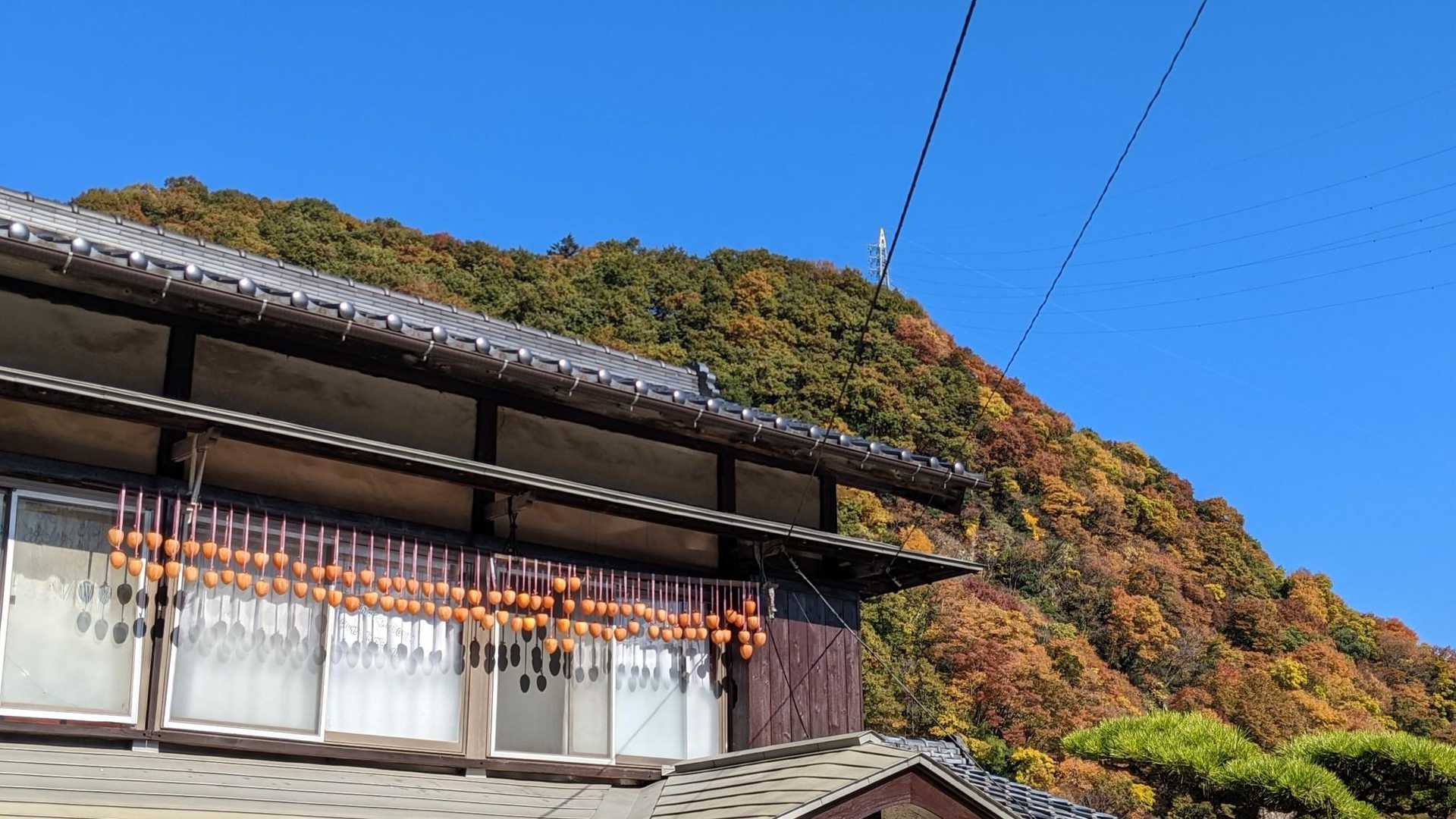 干し柿🧡🧡🧡と山肌の🧡も👍