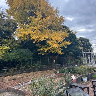 カフェを出たら、母と娘は戻るというので私は江ノ島の隅まで歩いてみることにしました。
