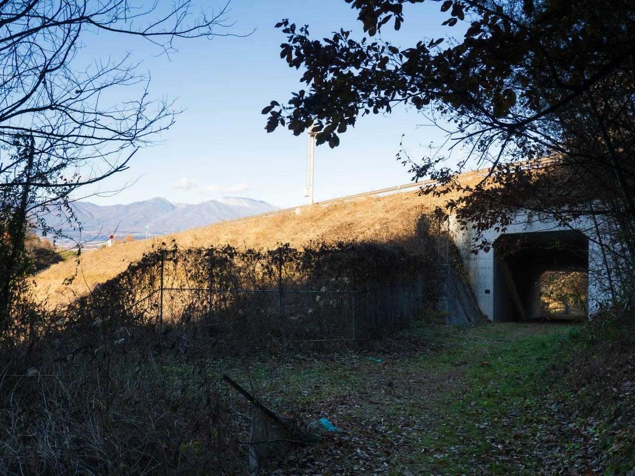 虚空蔵山登山口-虚空蔵山 周回コースの写真
