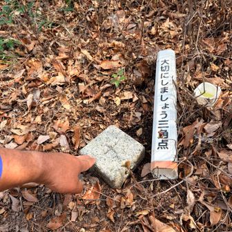 坪相  四等三角点🔺155.90m
（YAMAP未登録ピーク）