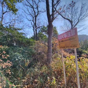 刈っていただいていたのですごくスムース
アップダウンもあるけれど薄い