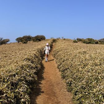 暫く走っていない相方も頑張っている