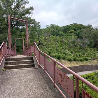織姫公園