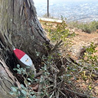 こんな所にもサンタさん