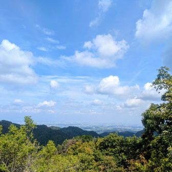 晴れてきた