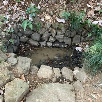 宝ヶ池
枯れることがないとか