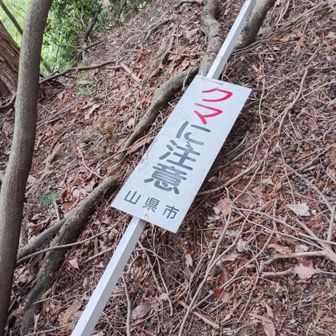 ひっくり返したら、クマに注意の看板。くまにやられた？