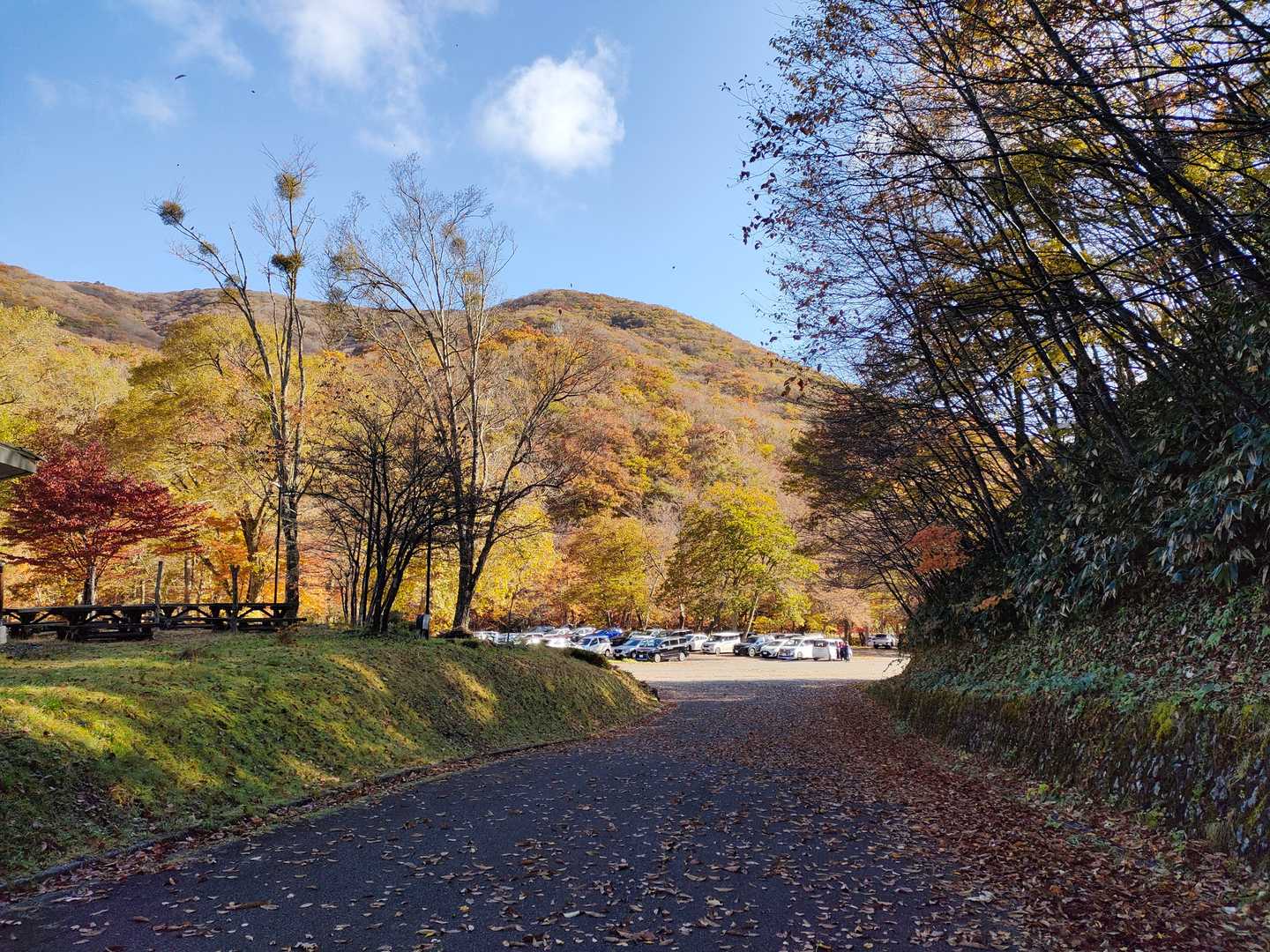 ひろしま県民の森登山口-出雲峠-比婆山 周回コースの写真