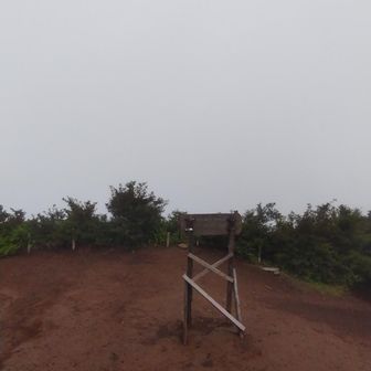 山頂は雲の中