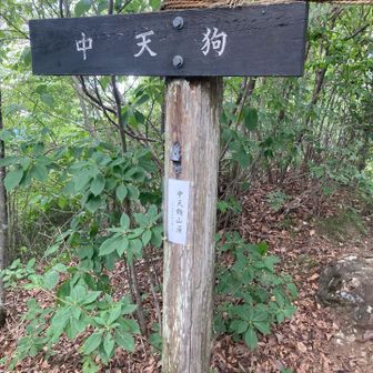 次は、中
ただしここ自体が山頂で
眺望無し🙇‍♂️
