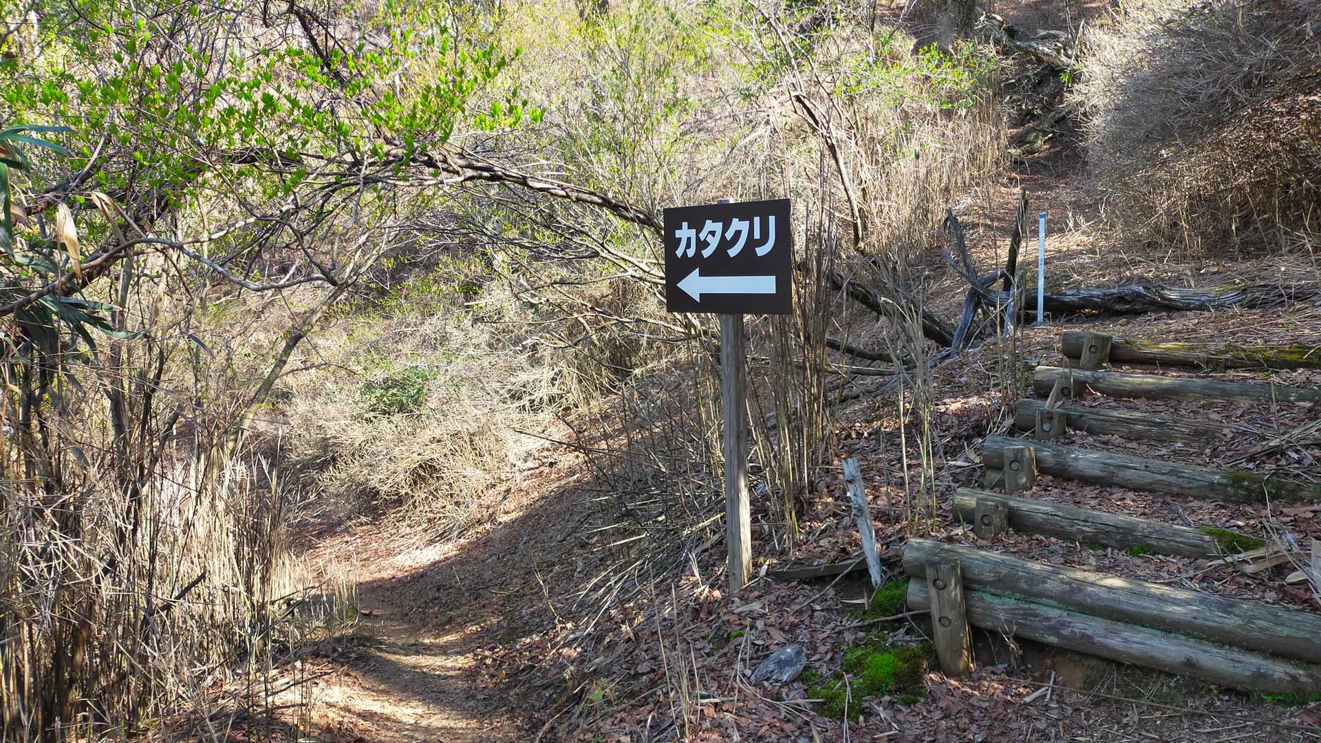 お〜カタクリはこっちだと親切看板、やはり人気なんだ🤩
