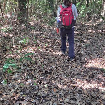 地図を見ると細い赤いルートが反対方向にあるでは無いか！
バリルートのような勘も働くが…

φ(･ω･*)ﾌﾑﾌﾑ...周回出来そうやん