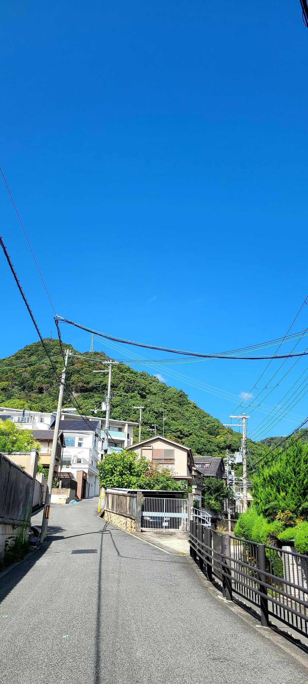 最高の天気でしたが