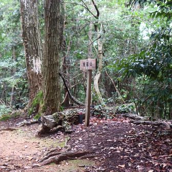 東砥山です。初めて来ました。