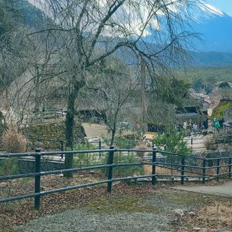 いやしの里根場
茅葺き屋根の古民家が20棟ほど。外国の方がいっぱい。
着物を着た方、甲冑を着けた方多く、異空間。
登山者は脇を通過です。