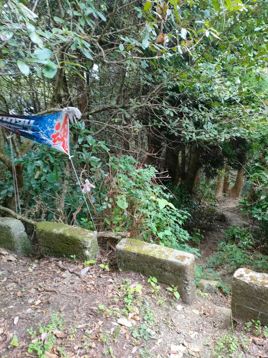 このタオル何かと思ったら、分岐の目印です🖐️