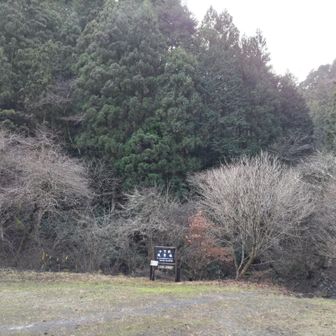 一度下って小下沢まで来ました