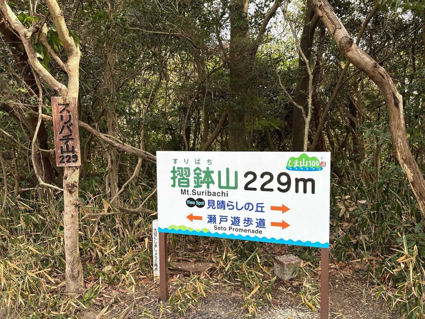 『山見山』から少し歩くと『摺鉢山』
眺望はありませんが、三角点がありました。