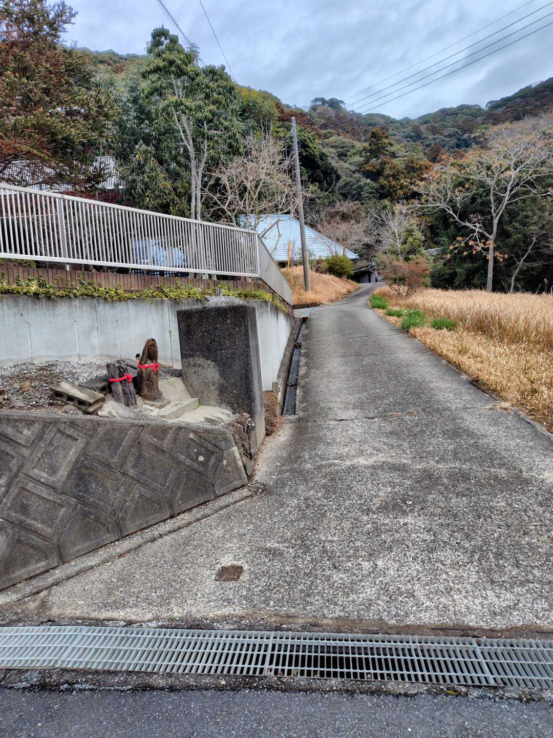登山口です。ここをまっすぐ進みます👍