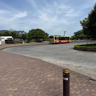 あ、バス来てる。速攻帰りましょう！