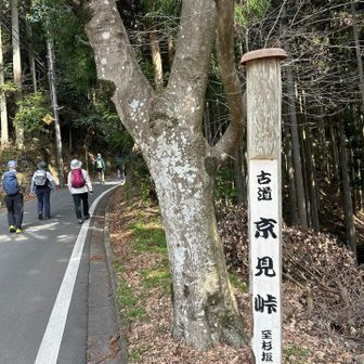 アスファルト歩き😭